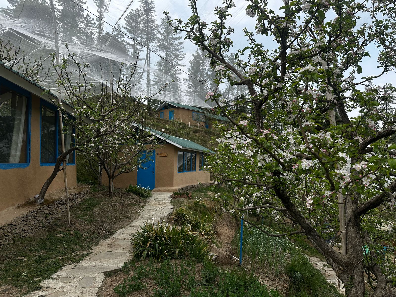 Daak Bangla Retreat View 3